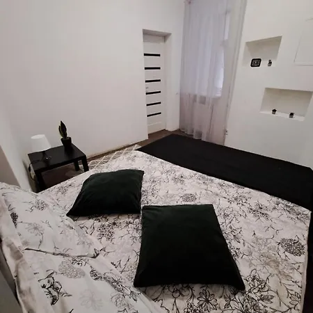 двокімнатні в центрі міста лева Lviv